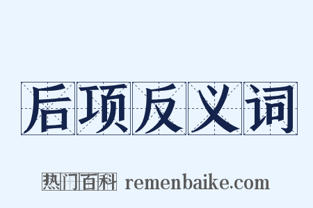 后项反义词是什么意思的图片